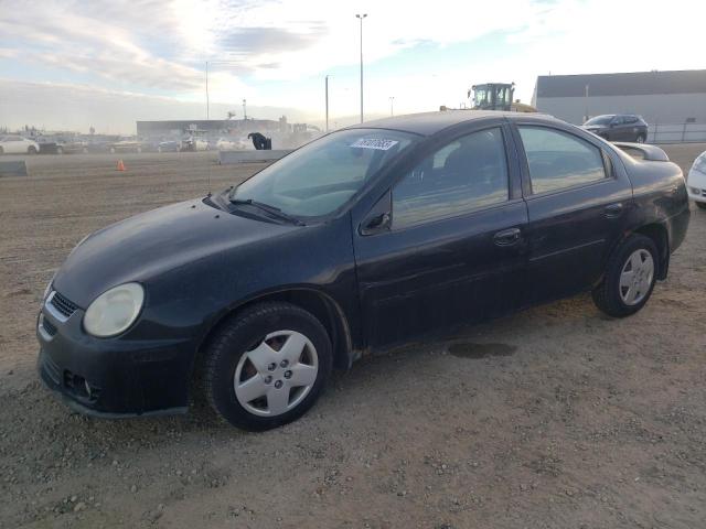 Dodge Neon (2005)