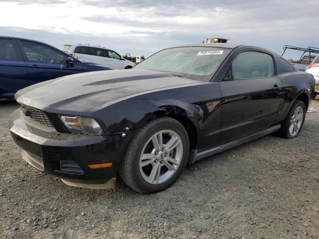 Ford All models (2010)