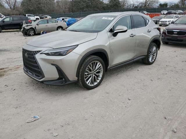 Lexus Nx 350 (2022)