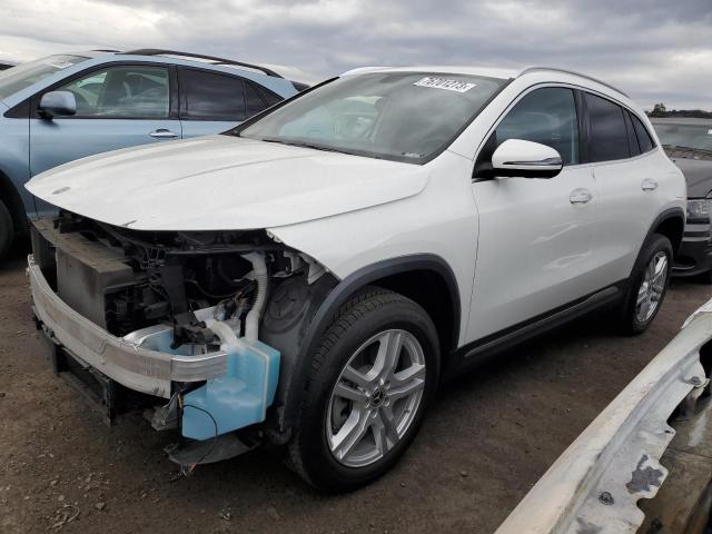 Mercedes-benz Gla-class (2021)