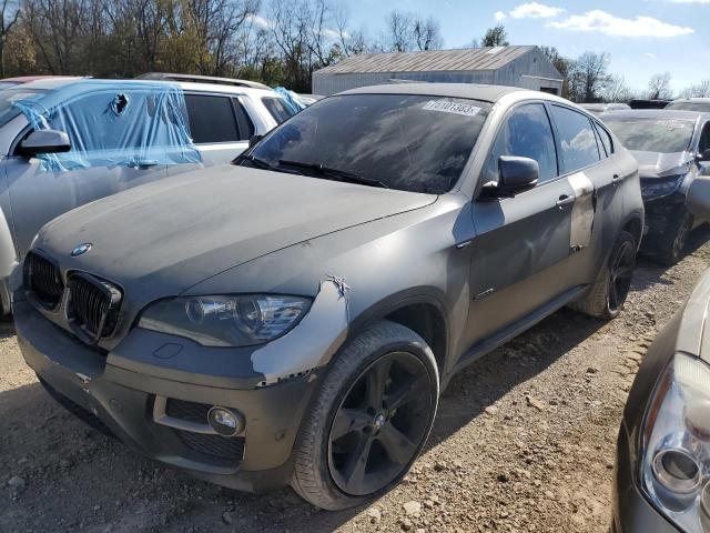 Bmw X6 (2013)