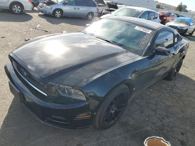 Ford All models (2013)