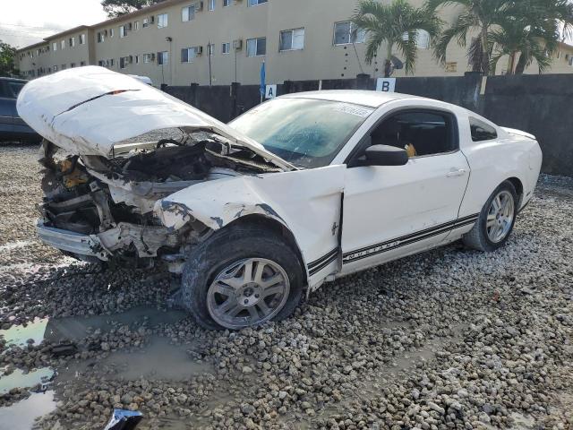 Ford All models (2010)