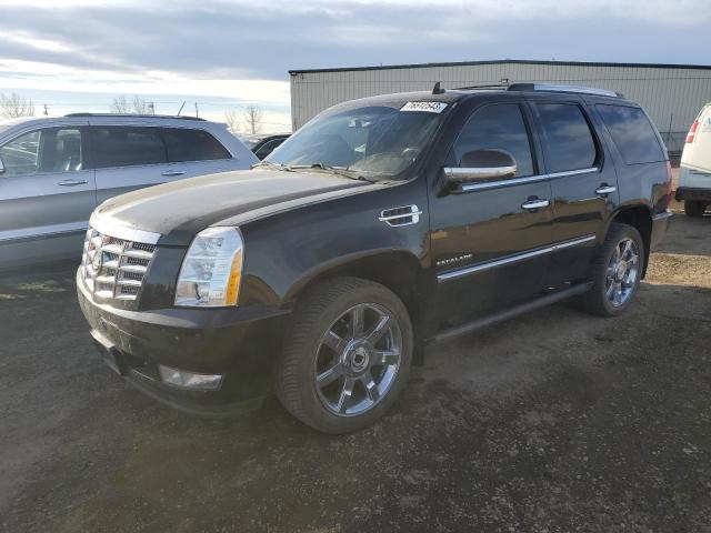 Cadillac Escalade (2011)