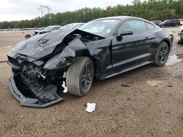 Ford All models (2022)