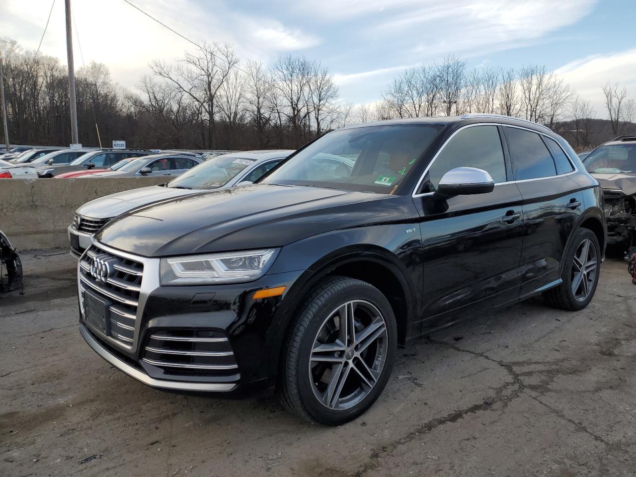 Audi Sq5 (2018)