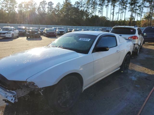 Ford All models (2014)