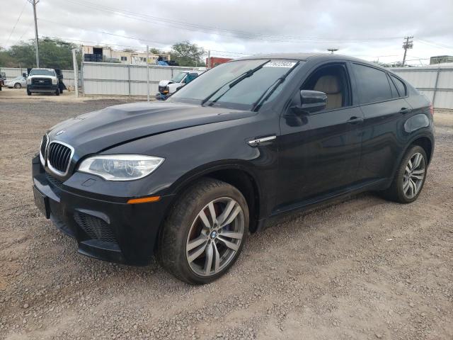 Bmw X6 (2013)