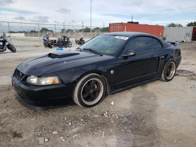 Ford All models (2004)