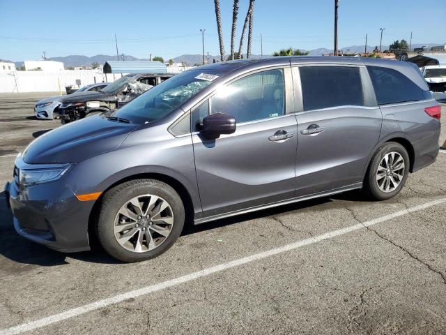 Honda All models (2021)