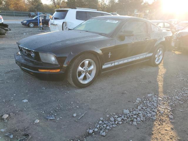 Ford All models (2007)