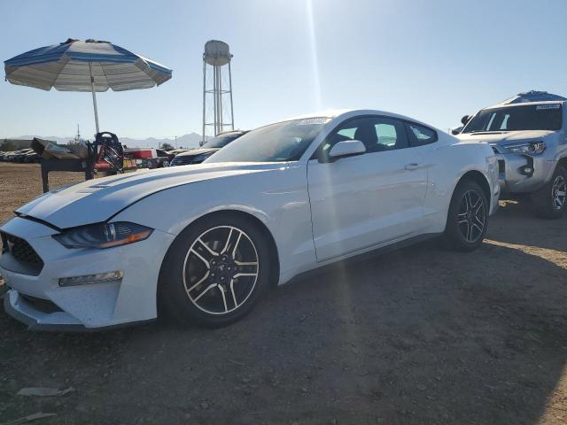 Ford All models (2022)
