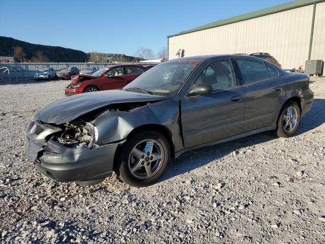 Pontiac Grandam (2004)
