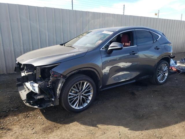 Lexus Nx 350 (2022)