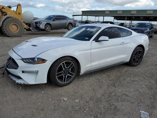 Ford All models (2021)