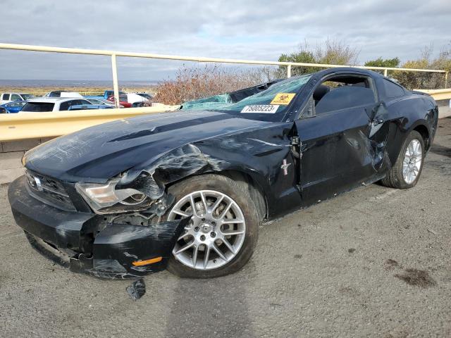 Ford All models (2012)