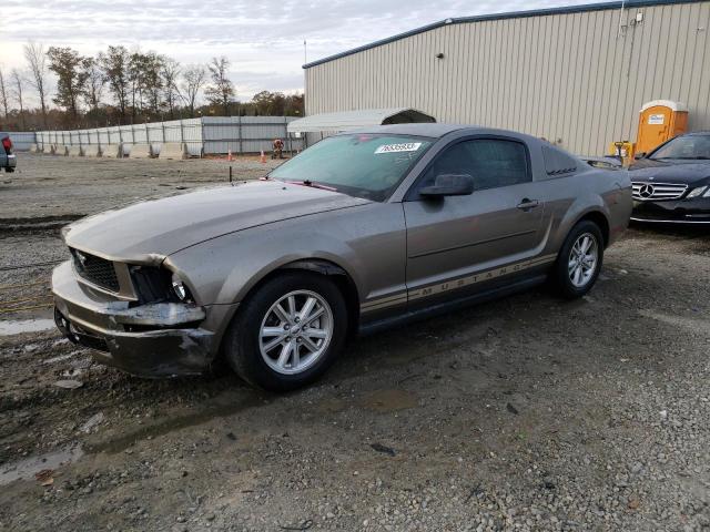 Ford All models (2005)