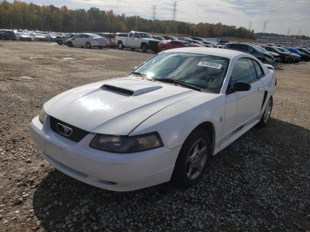 Ford All models (2003)