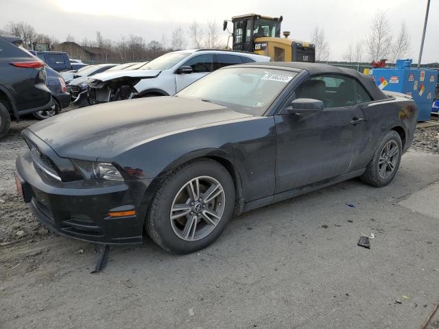 Ford All models (2013)