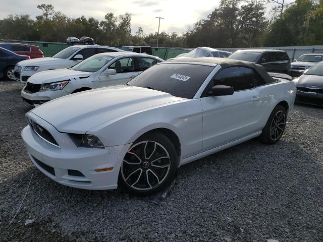 Ford All models (2014)