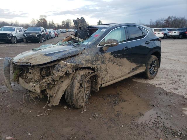Lexus Nx 350 pre (2024)