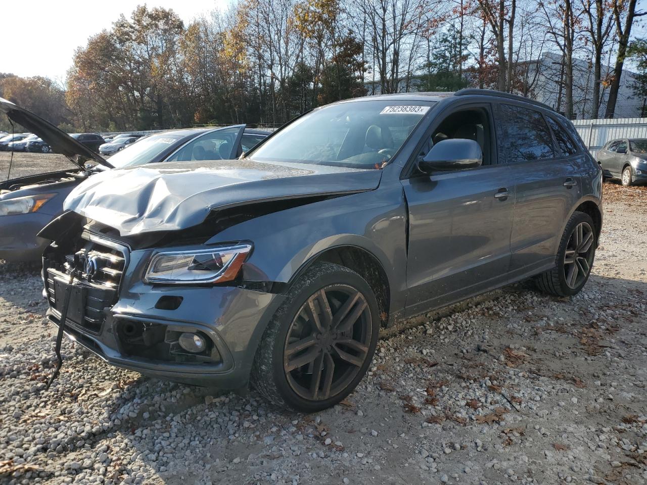 Audi Sq5 (2015)