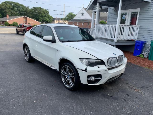 Bmw X6 (2010)