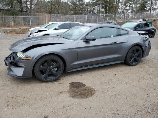 Ford All models (2021)