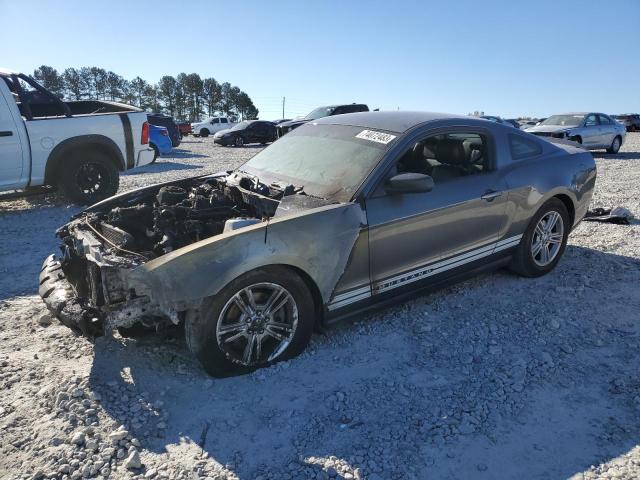 Ford All models (2012)