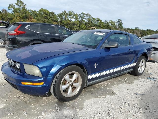 Ford All models (2007)