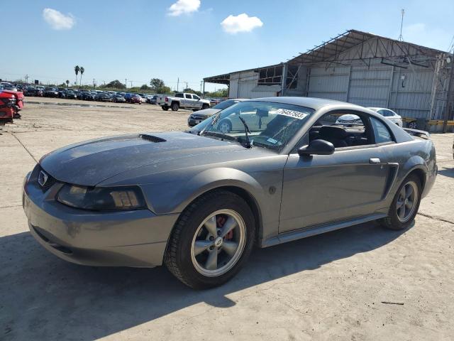 Ford All models (2004)
