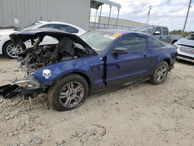 Ford All models (2012)
