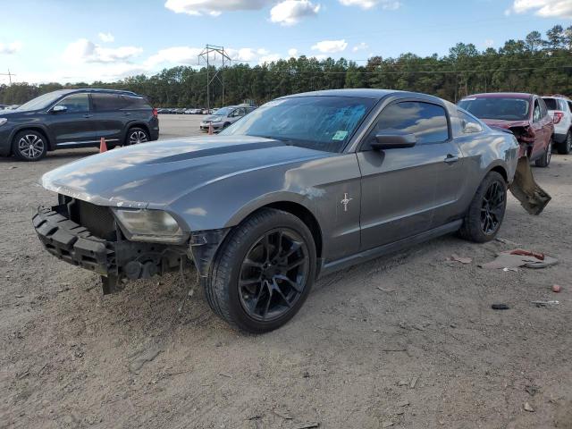 Ford All models (2010)