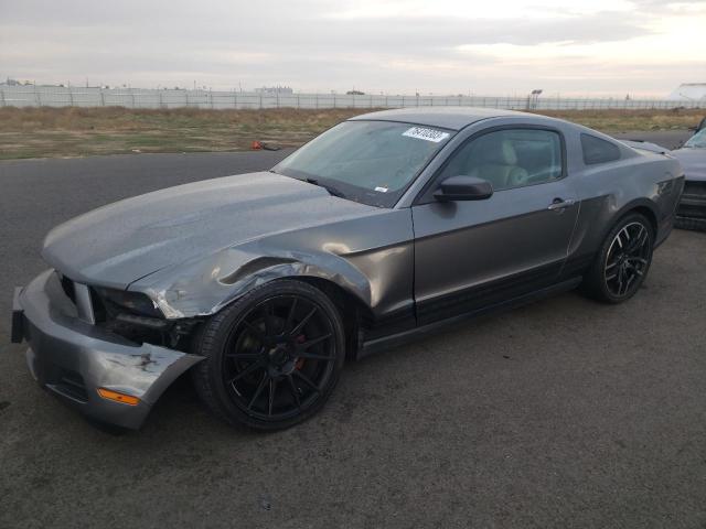 Ford All models (2010)