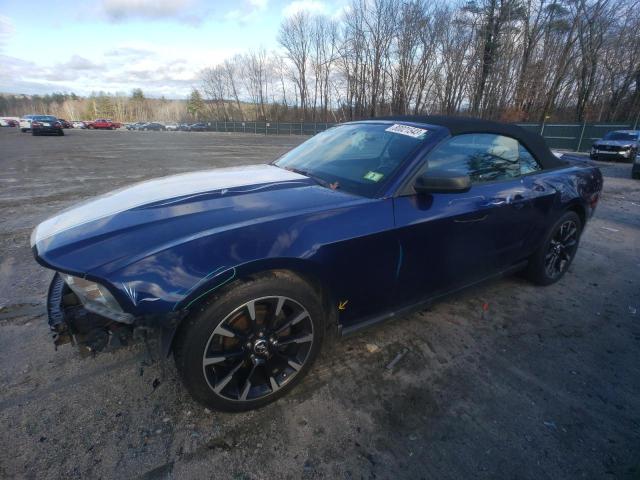 Ford All models (2010)