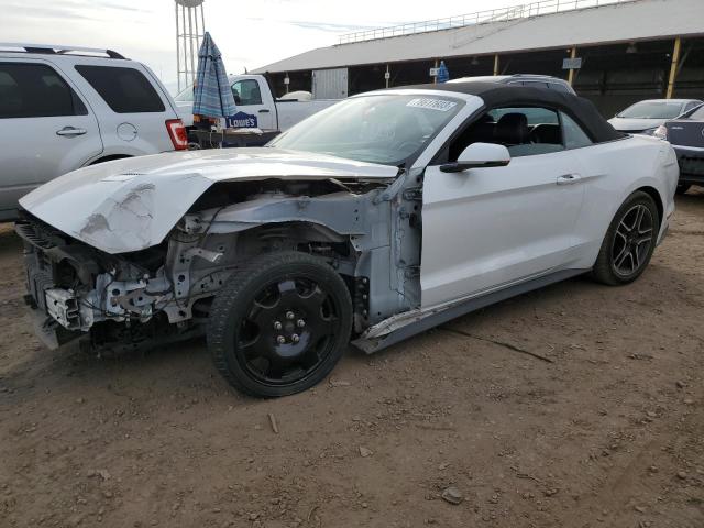 Ford All models (2019)