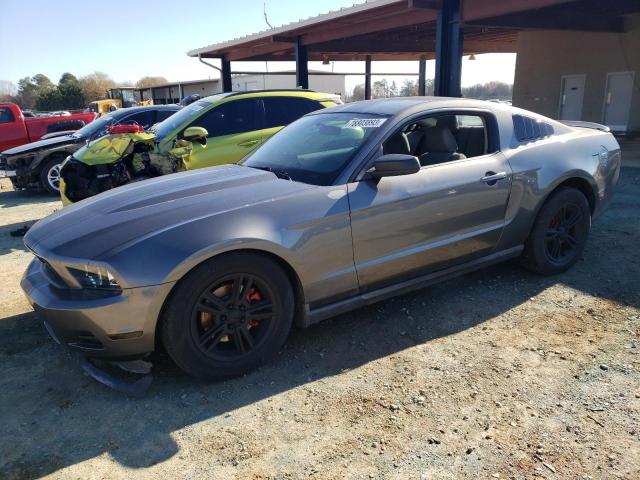 Ford All models (2011)