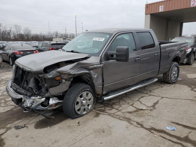Ford All models (2010)