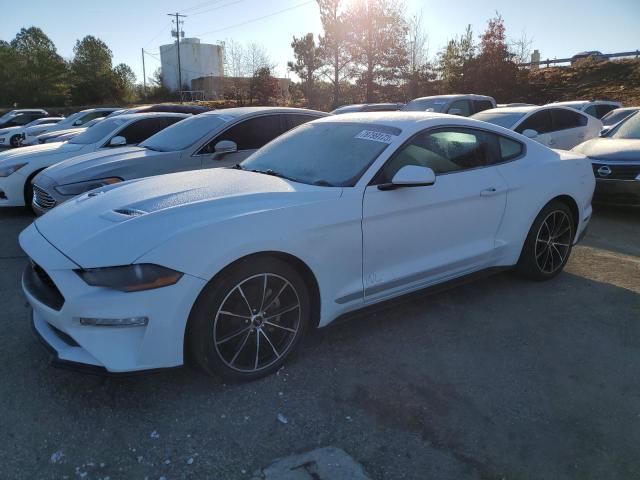 Ford All models (2021)