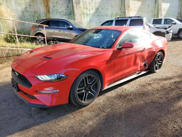 Ford All models (2023)