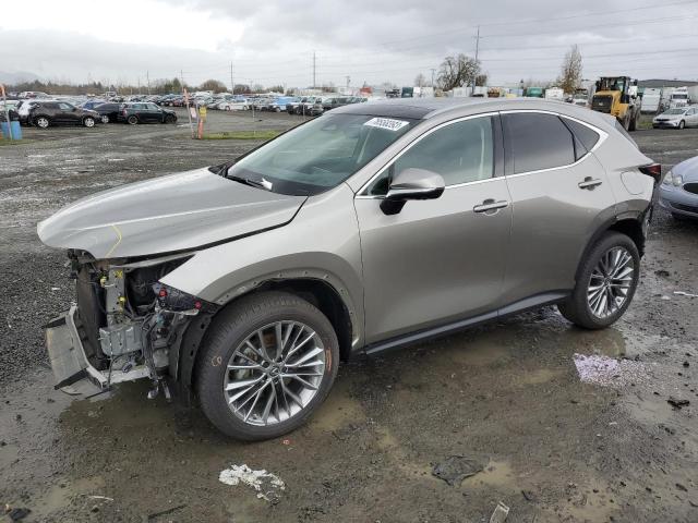 Lexus Nx 350 (2022)