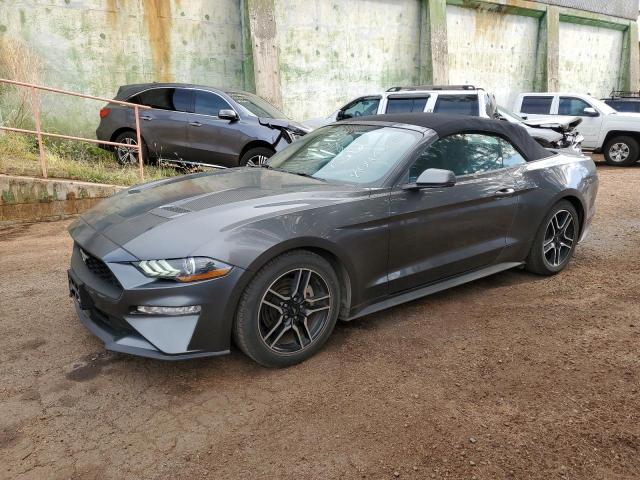 Ford All models (2020)