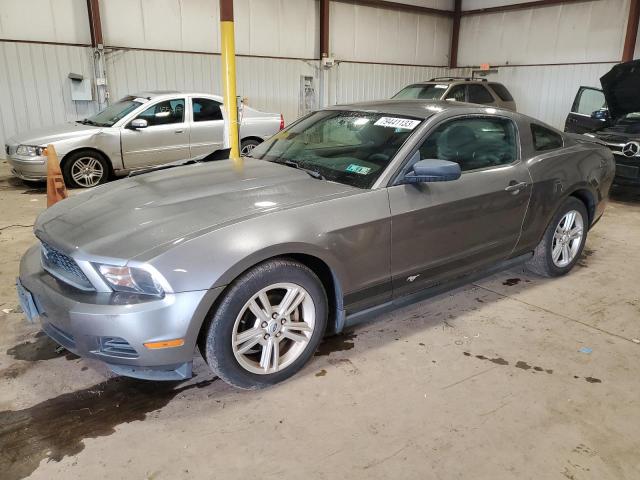 Ford All models (2010)