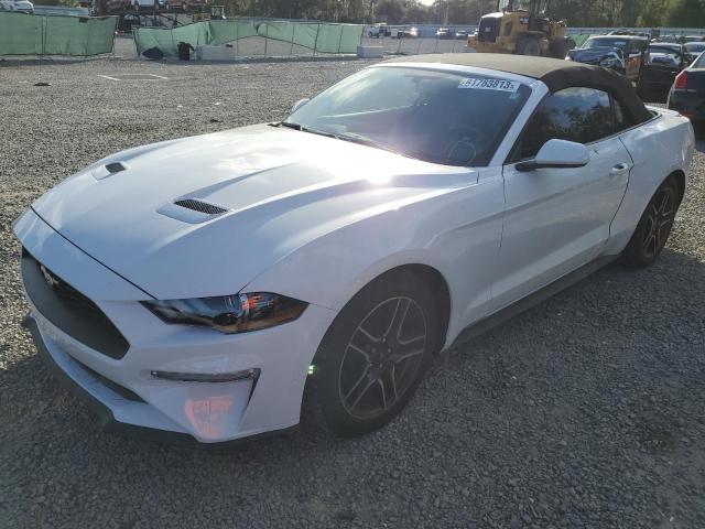 Ford All models (2020)