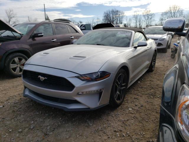 Ford All models (2019)