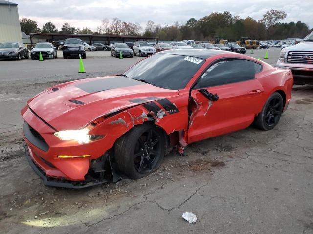 Ford All models (2019)