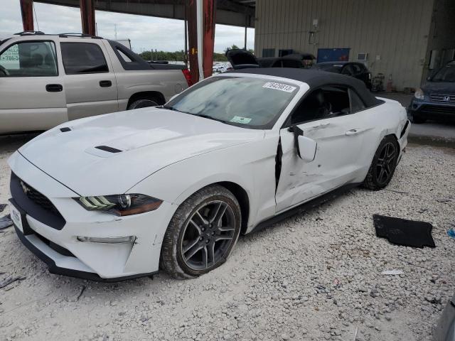 Ford All models (2019)