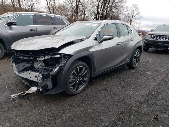Lexus Ux 250h (2021)