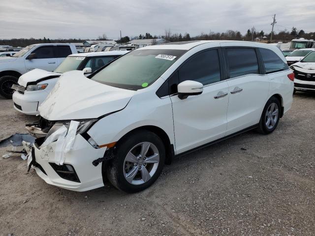 Honda All models (2019)