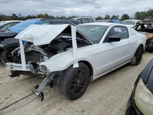 Ford All models (2014)